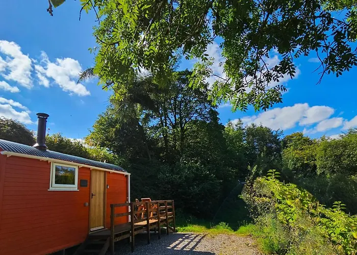 Red Kite At Wild Valley Huts