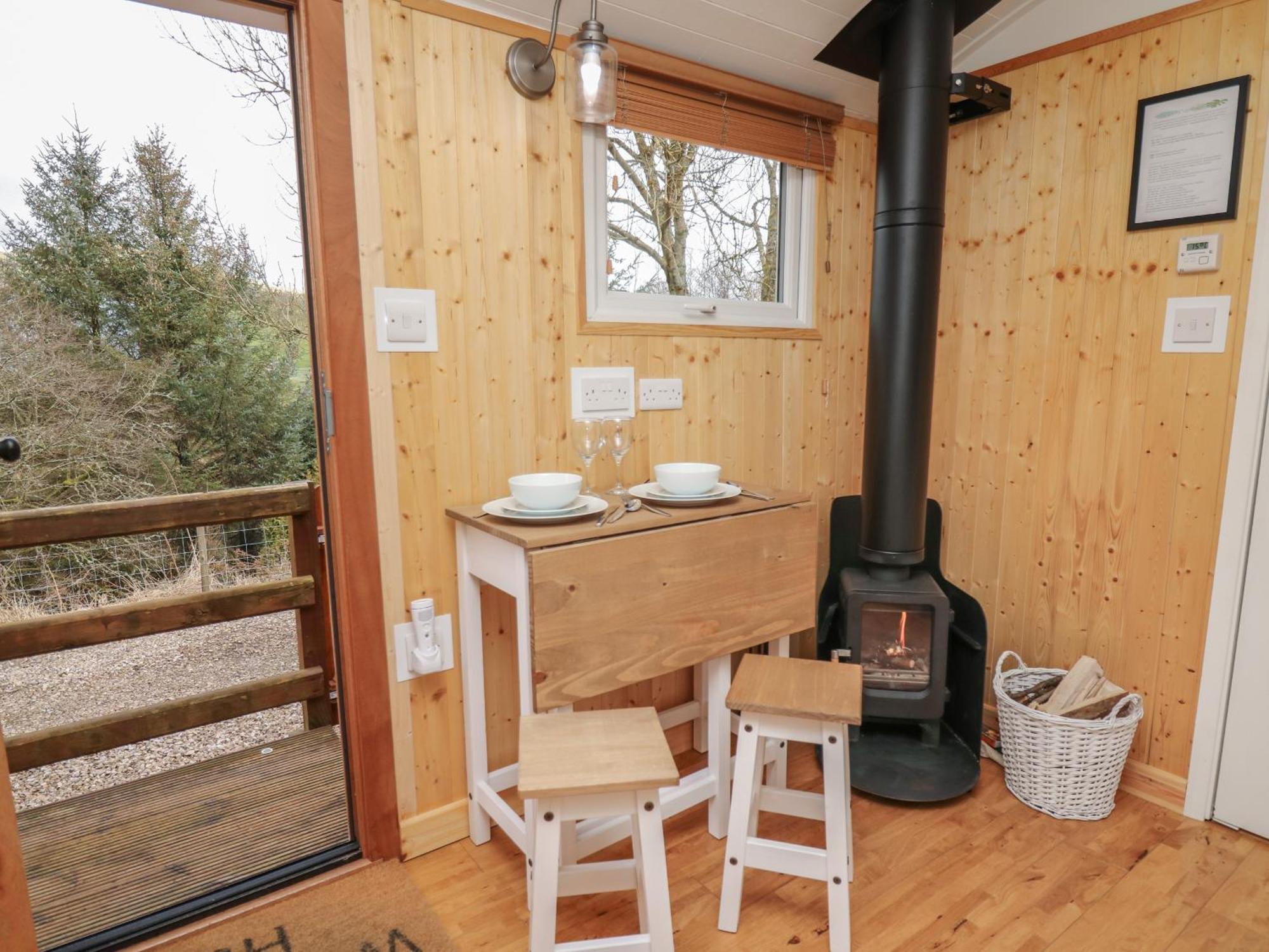 Red Kite At Wild Valley Huts Oswestry