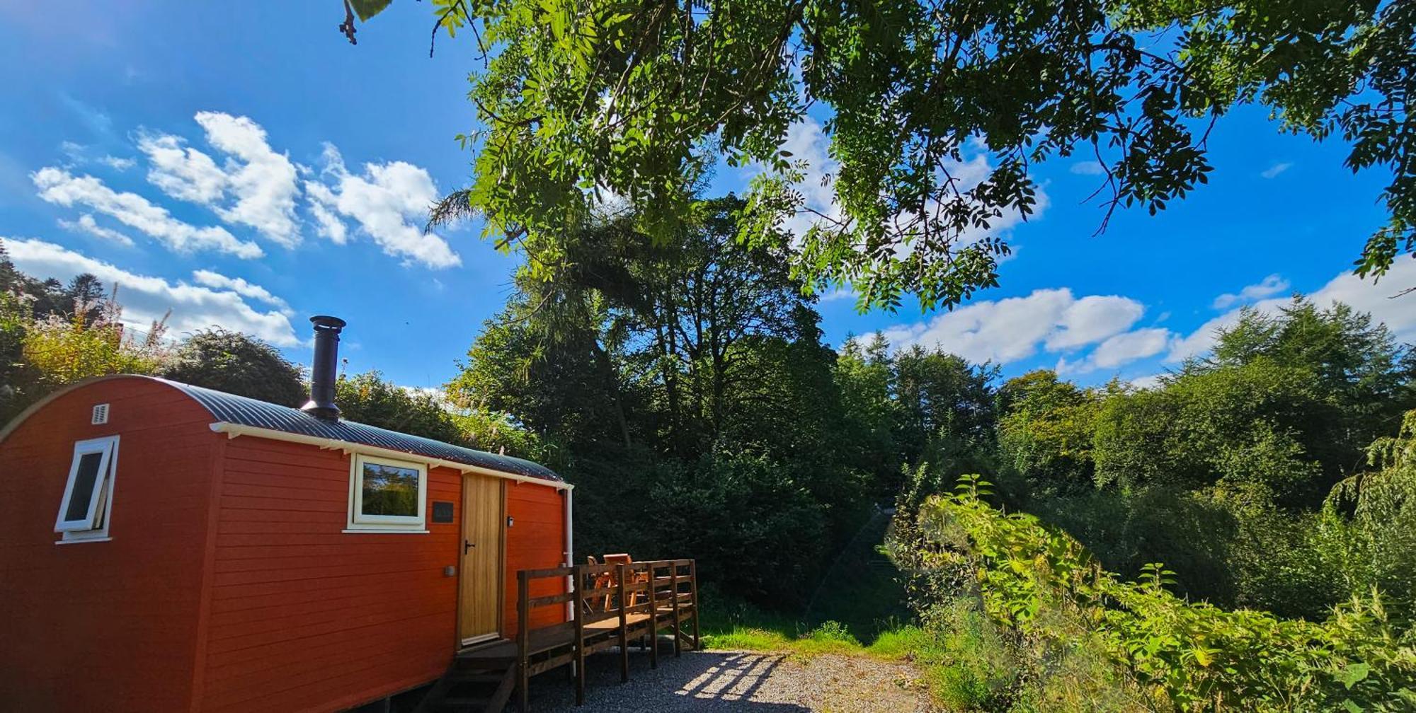 Red Kite At Wild Valley Huts * Oswestry
